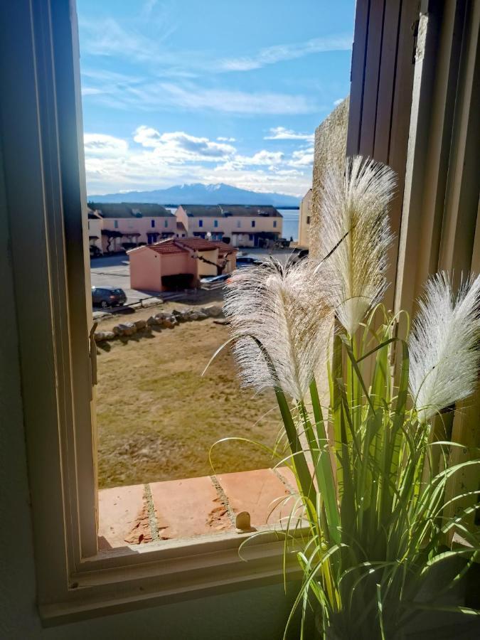 Appartement Tout Confort A Cap Coudalere Avec Vue Magnifique Sur Le Canigou Au Bord Du Lac - Check In Automatise - Parking Gratuit - Aire De Jeux D'Enfants - Ле Баркарес Экстерьер фото