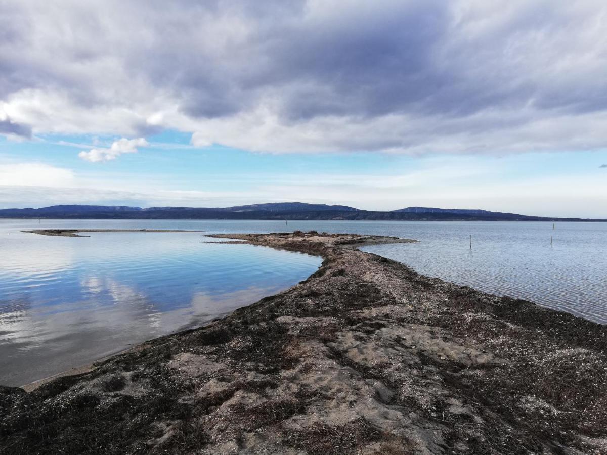 Appartement Tout Confort A Cap Coudalere Avec Vue Magnifique Sur Le Canigou Au Bord Du Lac - Check In Automatise - Parking Gratuit - Aire De Jeux D'Enfants - Ле Баркарес Экстерьер фото